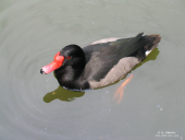 av_138