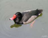 av_138