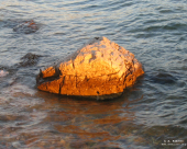av_179