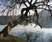 bled22