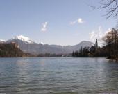 bled37