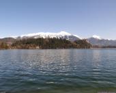 bled40