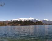bled44