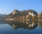bled15