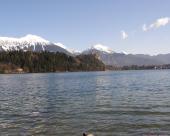 bled36