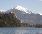 bled38