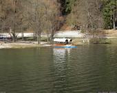 bled39