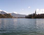 bled41