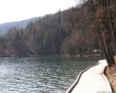 bled43