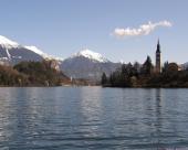 bled49