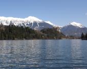 bled50