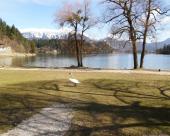 bled62