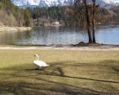 bled63