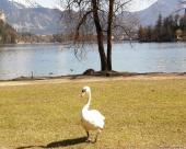 bled64