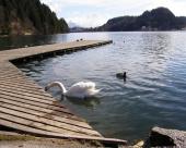 bled76