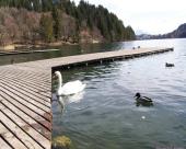bled77