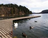 bled78
