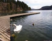 bled79