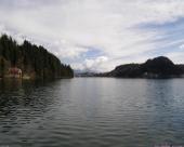 bled88