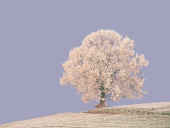 pd_108