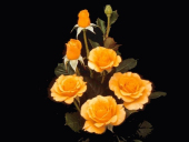 pd_190