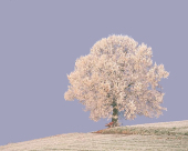 pd_108