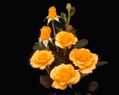 pd_190