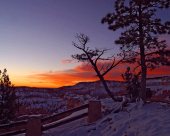 pd_251