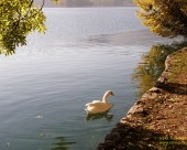 Bled_17