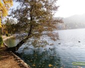 Bled_19