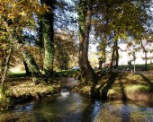 Bled_24