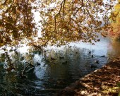 Bled_25