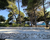 cres_kamp_01