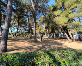 Katoro_07