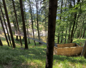 Kope_adrenalinski_park_05