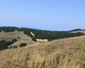 Kope_okolica_10
