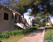 medena_242