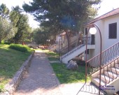 medena_245