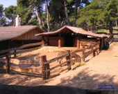 medena_249