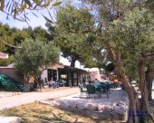 medena_274
