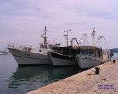 medena_277