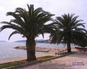 medena_296