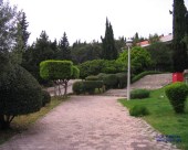 medena_331