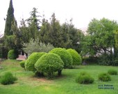 medena_332
