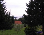 medena_334