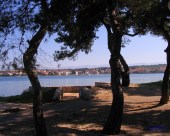 Petrcane_5