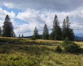 Rogla_okolica_14