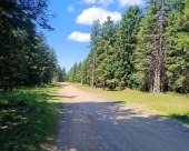 Rogla_okolica_26