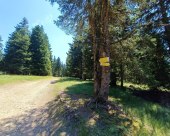 Rogla_okolica_31