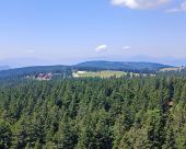 Rogla_okolica_36